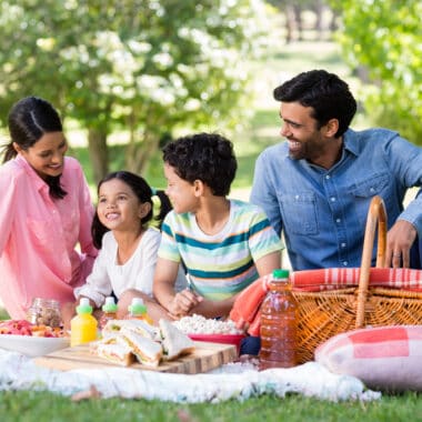 family picnic in park